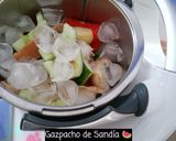 Foto del paso 4 de la receta Gazpacho de Sandía