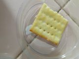 Cheezzkuit