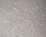 Foto del paso 2 de la receta: Ponche de leche 🍶🍸