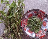 A picture of step 1 of Brahmi potato curry.