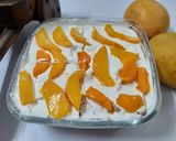 A picture of step 1 of Mango float.