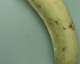 Foto del paso 1 de la receta: Arañitas o caballitos de plátano verde