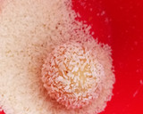 Foto del paso 6 de la receta: Trufas de coco