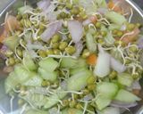 A picture of step 1 of Sprouts moong salad.