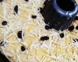 Foto langkah ke 7 dari resep Bolu tape keju.