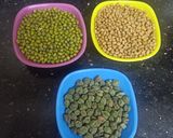 ફણગાવેલા સલાડ (sprouts  Salad recipe in Gujarati) રેસીપી સ્ટેપ1ફોટો