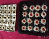 Foto langkah ke 8 dari resep Thumbprint Cheese Cookies.