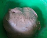 Foto langkah ke 3 dari resep Roti Kurma Aroma Coklat.