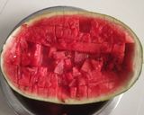 તરબુચ નો જ્યુસ (Watermelon Juice Recipe In Gujarati) રેસીપી સ્ટેપ1ફોટો