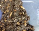 ઇન્સ્ટન્ટ ચોકલેટી અખરોટ ફજ (Instant Chocolaty Walnut Fudge Recipe In Gujarati) રેસીપી સ્ટેપ4ફોટો