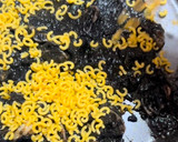Foto del paso 4 de la receta: Fideos negros