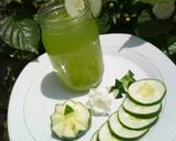 Cucumber juice recipe step 1 photo