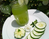 A picture of step 1 of Cucumber juice.