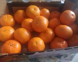 A picture of step 1 of Orange custard pie.