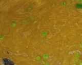 A picture of step 4 of Chicken Chunks Green Peas Rice or Tahiri 😋.