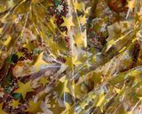 Φωτογραφία βήματος 5 της συνταγής Chocolate Bark 🍫 εξαιρετικό γλυκό δωράκι για τις γιορτές🎄