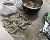 Foto del paso 1 de la receta: Encocado de camarón