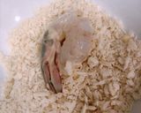 Hình bước làm 3 của món Tôm chiên xù
