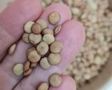 Foto del paso 1 de la receta: Lentejas, una de las 10000 formas de hacerlas ♥ Mis lentejones con vegetales y especias 🌱 vegano 🌱