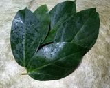 Foto langkah ke 1 dari resep Cingcau daun Perdu.