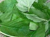 Tumis Bayam