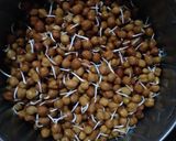 चना मसाला ग्रेव्ही रेसिपी (chana masala gravy recipe in marathi) रेसिपी स्टेप 1 फोटो 