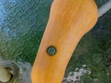 Cascos de zapallo en almíbar
