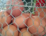Foto langkah ke 1 dari resep Telur Ceplok Wijen.