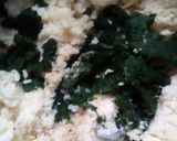 Foto del paso 3 de la receta: Gnocchis de espinaca a la Octavio (salsa de roquefort)