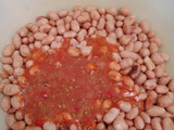 Kacang Keriting Oregano