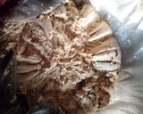 A picture of step 10 of My favorite awara recipee(tofu)2.