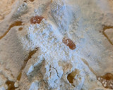 Foto del paso 3 de la receta: Cake de limón entero