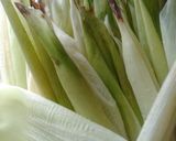 Foto langkah ke 1 dari resep Lepet jagung #BandungRecook2AndreniaGiawati.