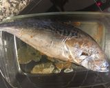 Foto del paso 2 de la receta: Pescado a la vasca