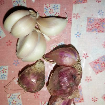 Langkah 2