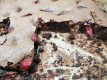 Gluténmentes brownie eperrel és schoko bons csokival recept lépés 7 foto