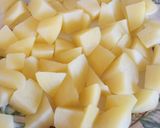 A picture of step 1 of Fluffy's Spanish Stew.