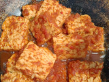 Tempe Bakar