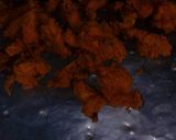 A picture of step 4 of Henry's hot wings.