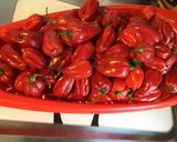 Une image de l'étape 1 de Sauces aux piments antillais à la citronnelle,sarriette,oignons,ail et persil.