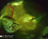 Foto langkah ke 4 dari resep Lemah kuning kepala ikan pake pare.
