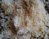 Foto langkah ke 4 dari resep Macaroni schotel.