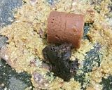 Foto langkah ke 2 dari resep Gula Asem Daging Kambing.