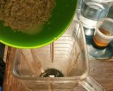 Foto del paso 2 de la receta: Agua de avena para esos kilitos de más