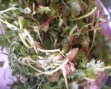 कुरकुरे मूंगदाल मेथी भजिया(kurkure moong dal methi bhujiya recipe in hindi) रेसिपी चरण 2 फोटो
