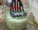 Foto del paso 3 de la receta: Chucrut o sauerkraut