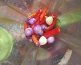 Foto langkah ke 2 dari resep Lodeh Tahu, Tempe, Cecek.