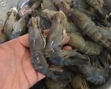 รูปขั้นตอนการทำที่ 1 ของ “กุ้งเผา”