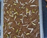 A picture of step 9 of Mohan Thaal (gram flour fudge).