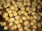 سلطة الحمص 😋